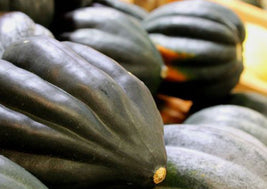 Acorn Squash