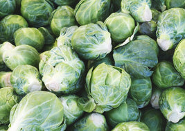 Brussel Sprouts (BC)