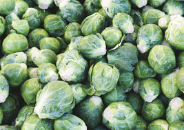 Brussel Sprouts (BC)