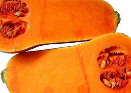 Butternut Squash