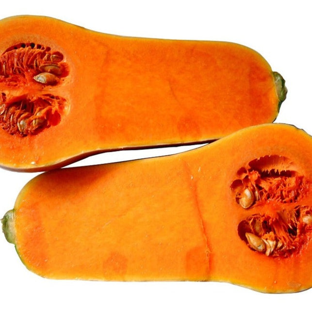 Butternut Squash