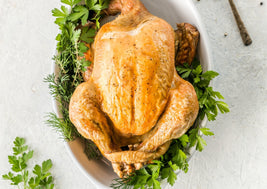 Whole Hutterite Chickens PREORDER