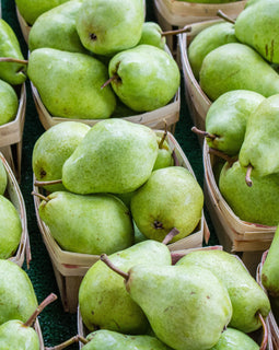 Bartlett Pears