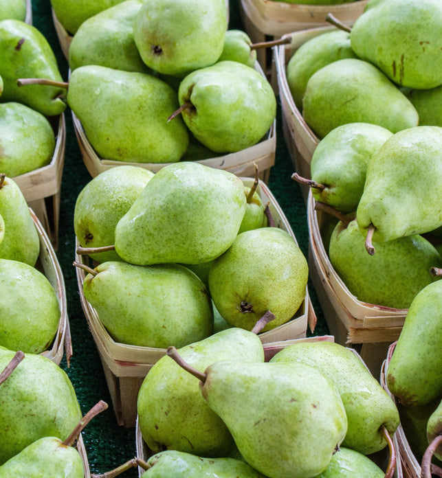Bartlett Pears