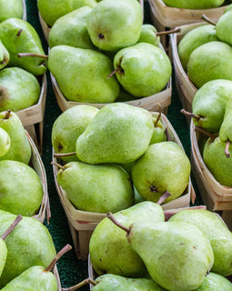 Bartlett Pears
