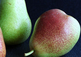 D'Anjou Pears