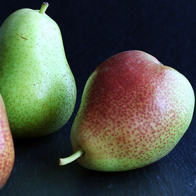 D'Anjou Pears