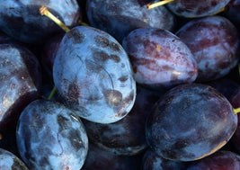 Plums