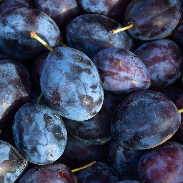 Plums