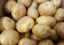 Yukon Standard Gold/Red Standard Potatoes