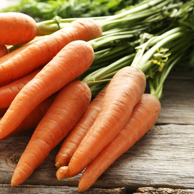 Carrots with tops