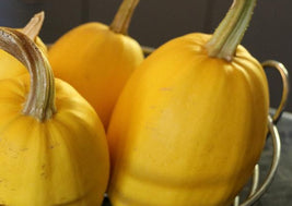 Spaghetti Squash