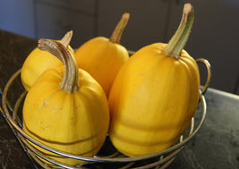 Spaghetti Squash