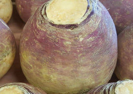 Rutabaga