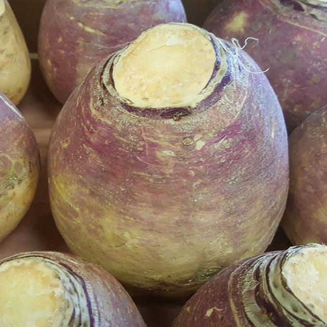 Rutabaga